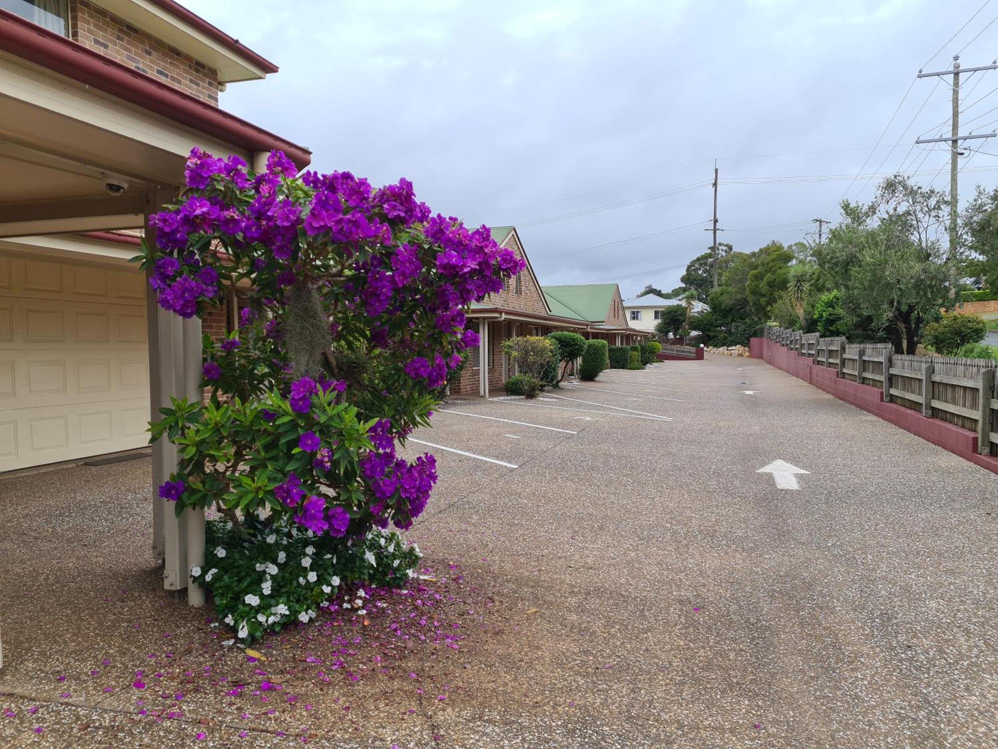 טוומבה Country Gardens Motor Inn מראה חיצוני תמונה